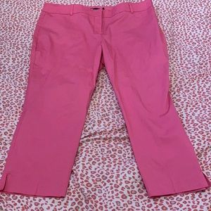 New York & Company Crop Pants